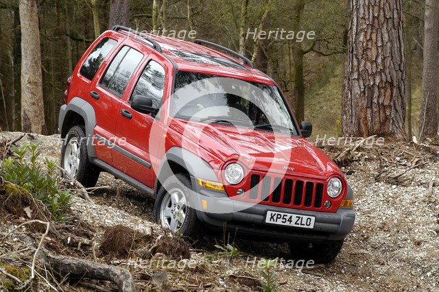 2004 Jeep Cherokee Artist: Unknown.