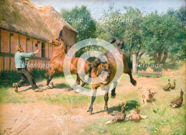 Frisky horses, 1865-1887. Creator: Hans Michael Therkildsen.