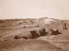 In the Petrified Forest (General View, Middle Park), c.1895-1897. Creator: Vroman, A.C.