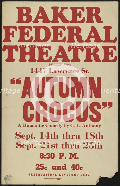 Autumn Crocus, Denver, [1930s]. Creator: Unknown.