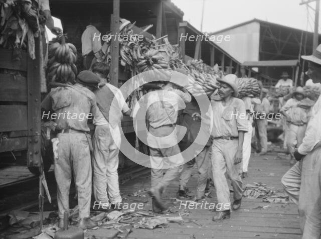 Unloading bananas, New Orleans, between 1920 and 1926. Creator: Arnold Genthe.