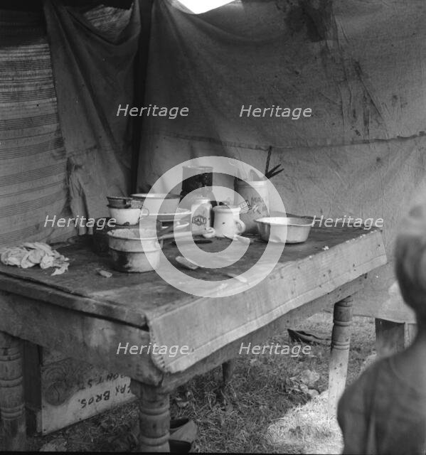 Food supply of migrant family, American River camp near Sacramento, California, 1936. Creator: Dorothea Lange.