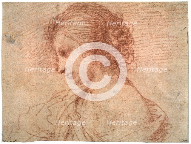 'Breast portrait of a young female', 17th century. Artist: Guercino
