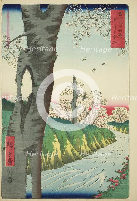 Koganei in Musashi Province (Musashi Koganei), from the series "Thirty-six Views of..., 1858. Creator: Ando Hiroshige.