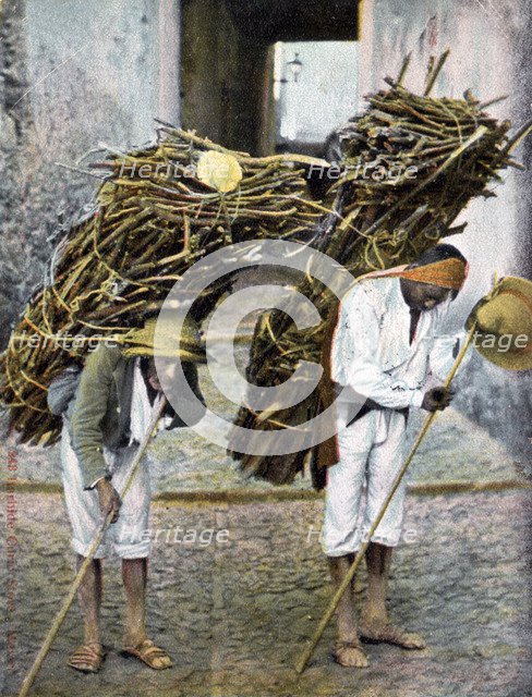Two men carrying bundles of wood on their backs, Mexico, early 20th century. Artist: Unknown