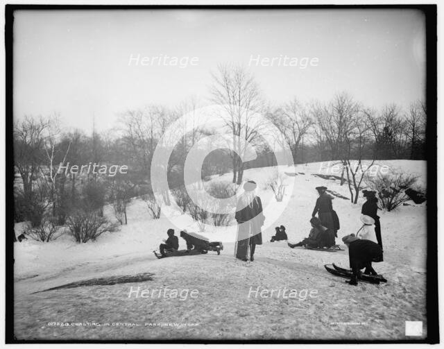 Coasting in Central Park, New York, between 1900 and 1906. Creator: Unknown.