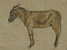 A donkey in a stable, c1814-1830. Creator: John Frederick Lewis.