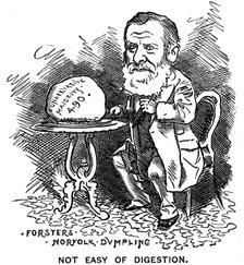William Edward Forster, British Liberal politician, 1879. Artist: Unknown