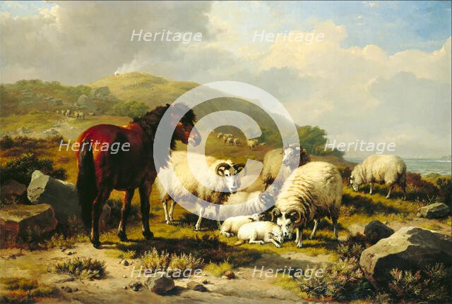 Landscape with Sheep, c1820-1880. Creator: Eugène Verboeckhoven.