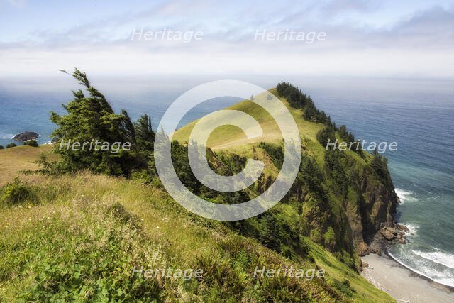 Cascade Head. Creator: Joshua Johnston.