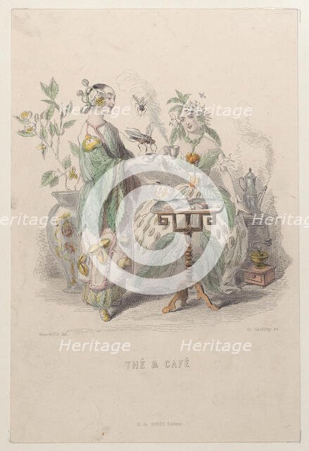 Thé & Café, from Les Fleurs Animées, 1847. Creator: Charles-Michel Geoffroy.