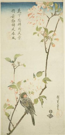 Bullfinch on aronia branch, 1830s. Creator: Ando Hiroshige.