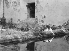 Travel views of Cuba and Guatemala, between 1899 and 1926. Creator: Arnold Genthe.