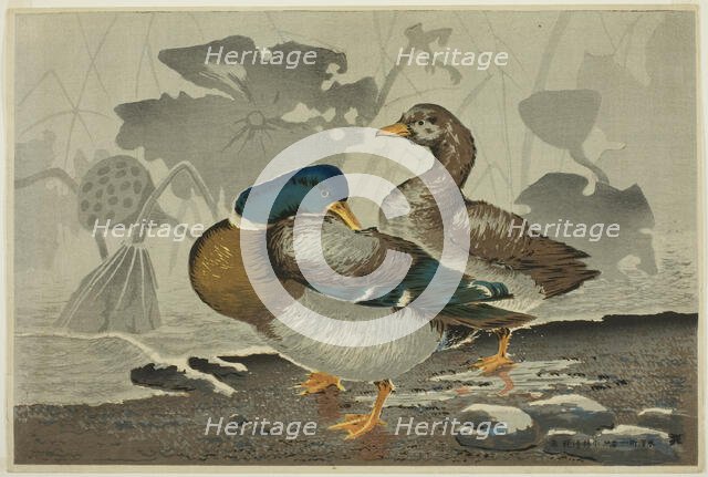 A pair of ducks by a lotus pond, Japan, 1879. Creator: Kobayashi Kiyochika.