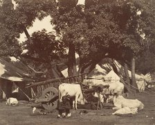 Scene in Camp] 1858-61. Creator: Unknown.