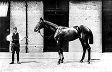 The Winner of the Derby: Lord Rosebery's Sir Visto, 1895. Creator: Clarence Hailey.