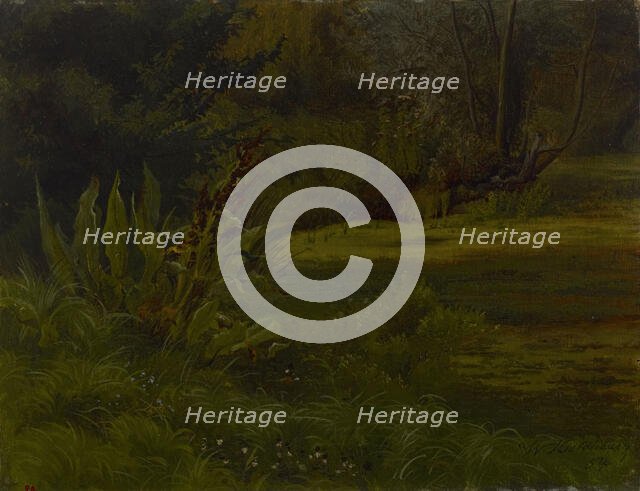 A pond in the forest, exercise, 1854. Creator: Werner Holmberg.