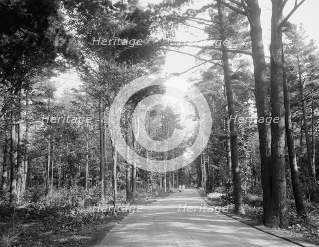 Carriage drive to High Lawn House, Lenox, Mass., c.between 1910 and 1920. Creator: Unknown.