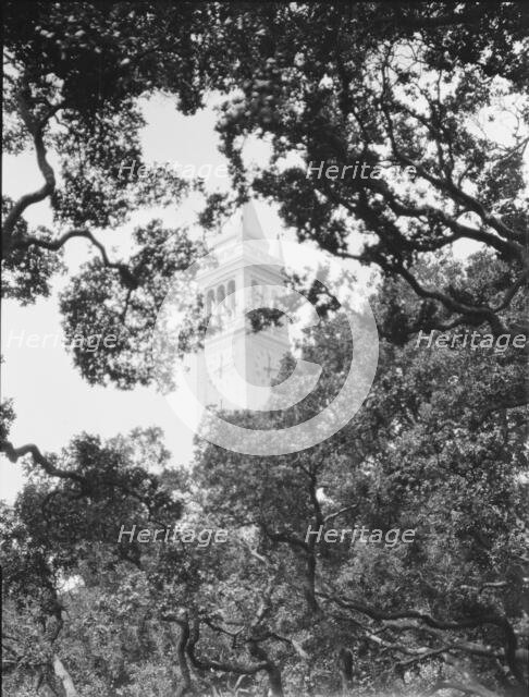 University of California at Berkeley views, 1927 Creator: Arnold Genthe.