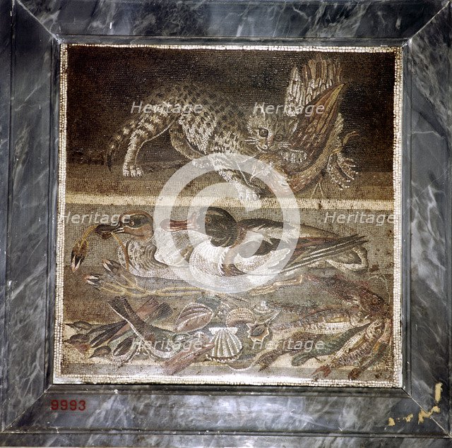Roman mosaic of a cat with ducks, Pompeii, Italy. Creator: Unknown.