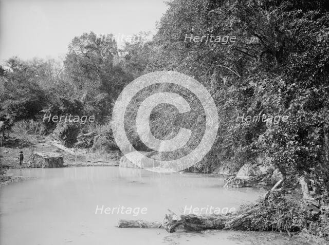 Hot springs at Taninul, between 1880 and 1897. Creator: William H. Jackson.