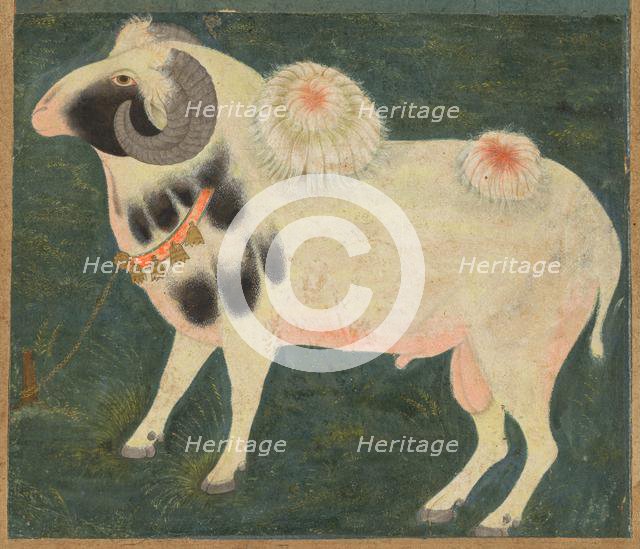 A royal ram with a gold chain, c. 1585; border added probably 1700s. Creator: Unknown.