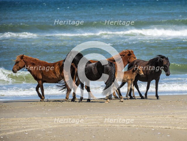 Renzi's Family. Creator: Eve Turek.