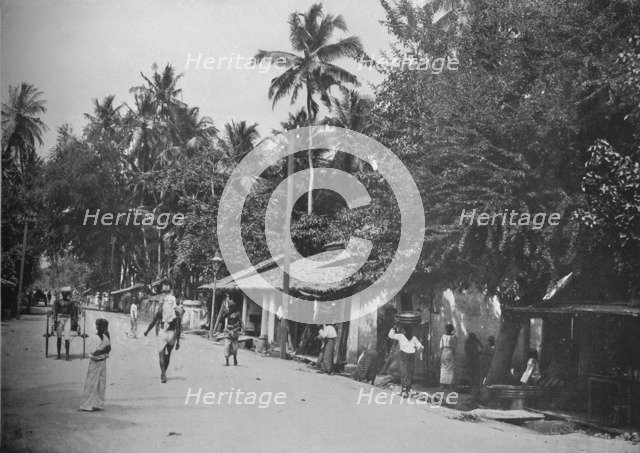 'Roadside Scene on the Way to Mt. Lavinia', c1890, (1910). Artist: Alfred William Amandus Plate.