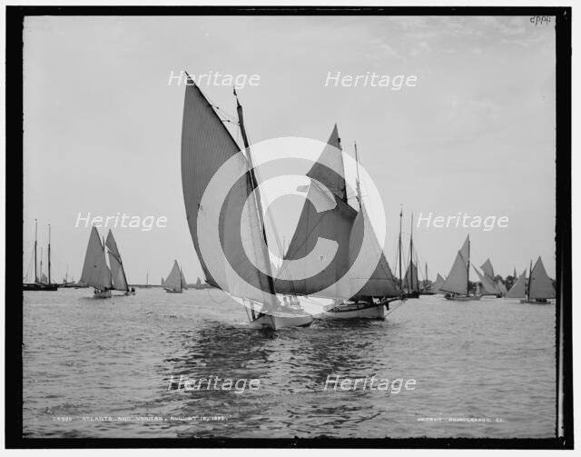 Atlanta and Vanitas, 1888 Aug 18. Creator: Unknown.