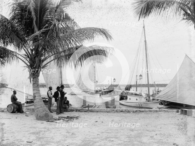 Landing at Palm Beach, between 1880 and 1897. Creator: William H. Jackson.