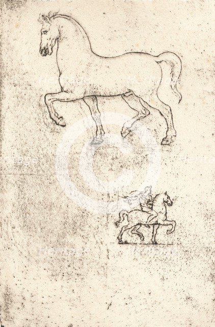 Study for the Sforza Monument, c1482-c1499 (1883). Artist: Leonardo da Vinci.