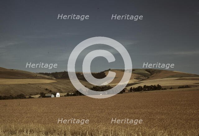 Wheat farm, Walla Walla, Washington, 1941. Creator: Russell Lee.