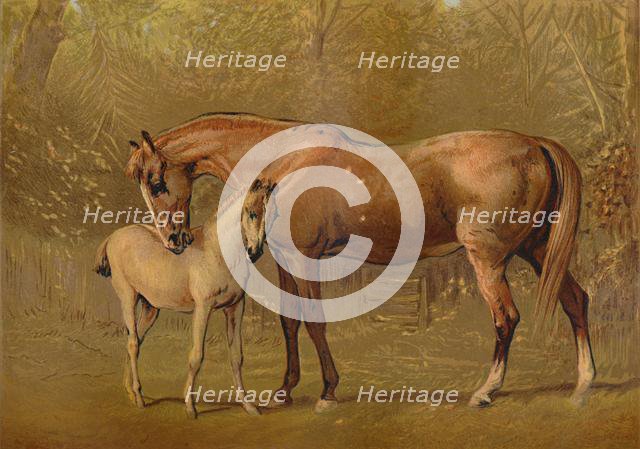 'Thoroughbred Mare & Foal', c1879. Creator: Unknown.