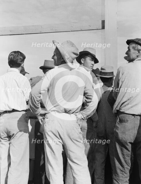 Watching ball game, Shafter migrant camp, California, 1939. Creator: Dorothea Lange.