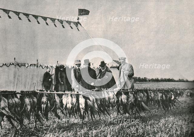 King Edward VII inspecting the bag at Sherborne Estate, 1902, (1910). Creator: Unknown.