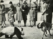 'At the London Zoo - watching the antics of a baby panda', 1939, (1947).  Creator: Unknown.