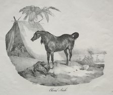 Cheval Arabe. Creator: Théodore Géricault (French, 1791-1824).