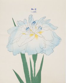 U-Chu, No. 25, 1890, (colour woodblock print)