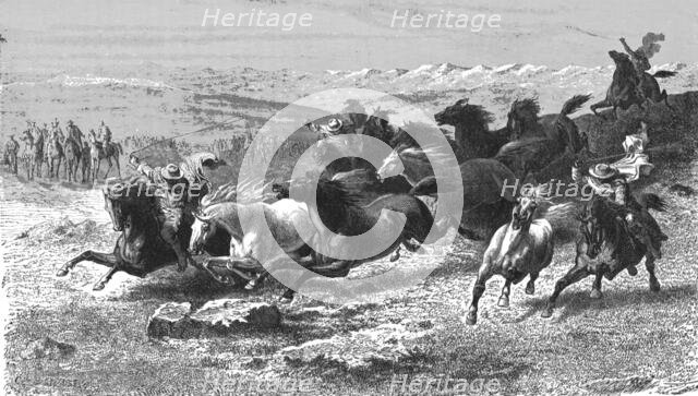 'Catching Wild Horses with the Lasso; Frontier Adventures in the Argentine Republic', 1875. Creator: Unknown.