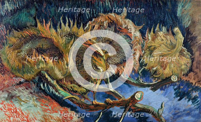 Four cut sunflowers, 1887. Creator: Gogh, Vincent, van (1853-1890).