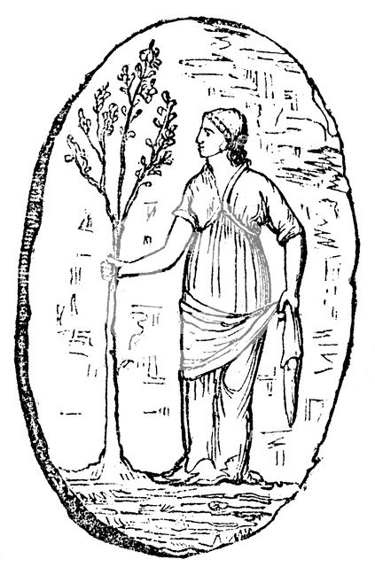 The goddess Minerva holding a young olive tree. Artist: Unknown