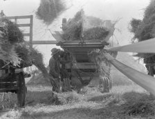 The threshing of oats, Clayton, Indiana, south of Indianapolis, 1936. Creator: Dorothea Lange.