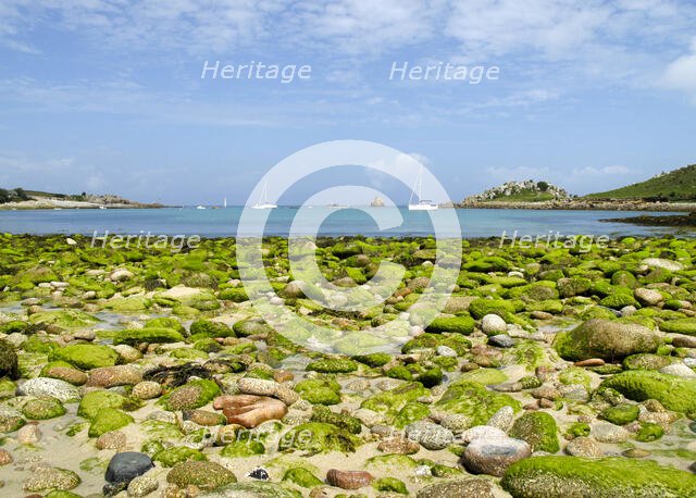 Gugh, St Agnes, Isles of Scilly, 2009. Creator: Mike Hesketh-Roberts.