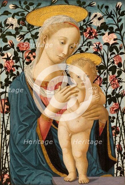 Madonna and Child, c. 1470. Creator: Anon.