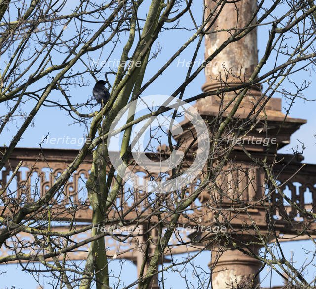 Bromley-by-Bow Gasworks, Twelvetrees Crescent, Bromley-by-Bow, Newham, GLA, 2021. Creator: Chris Redgrave.