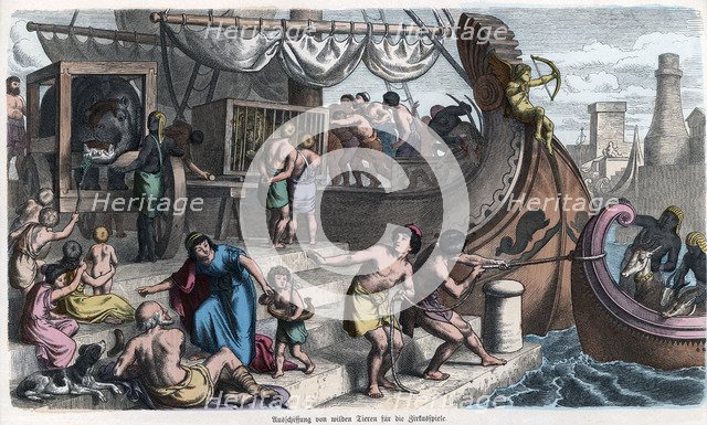 Ancient History. Rome. Landing of animals and beasts for the Roman circus. German engraving, 1866.