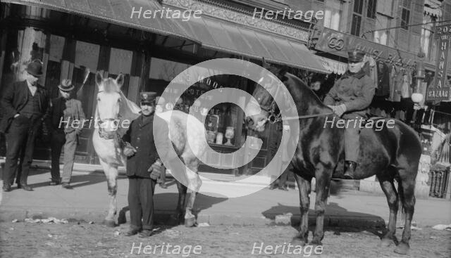 Fire engine horses, between c1910 and c1915. Creator: Bain News Service.