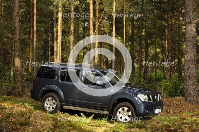 2005 Nissan Pathfinder 2.5 Tspec dci Artist: Unknown.