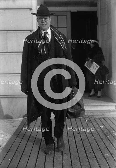 Royal Cleaves Johnson, Rep. from South Dakota, 1918. Creator: Harris & Ewing.