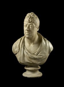 Bust of Thomas Johnes of Hafod, MP, FRS (1748-1816), 1811. Artist: Francis Legatt Chantrey.